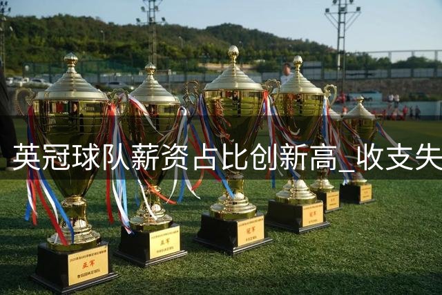 英冠球队薪资占比创新高 收支失衡引担忧